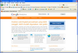 Screenshot halaman depan Google Analytics