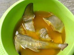 Foto daging ikan hiu dalam larutan kunyit